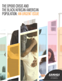 The Opioid Crisis and the Black/African American Population: An Urgent Issue